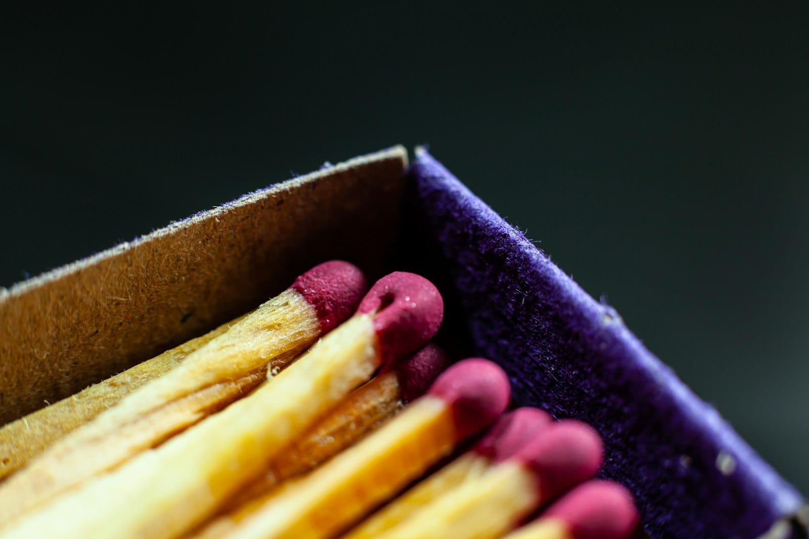 a person holding a bunch of french fries